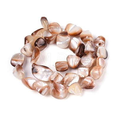 Natural Sea Shell Beads Strands SSHEL-N041-02B-1