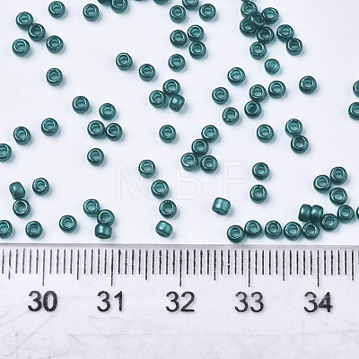 Frosted Opaque Glass Seed Beads SEED-S042-06A-01-1