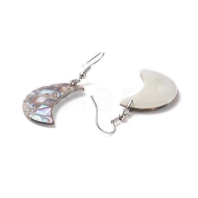 Abalone Shell/Paua Shell Dangle Earrings EJEW-F147-C15-1
