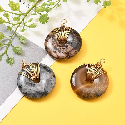 Donut/Pi Disc Natural Gemstone Pendants PALLOY-JF00509-1
