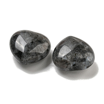 Natural Larvikite Beads G-P531-A12-01-1