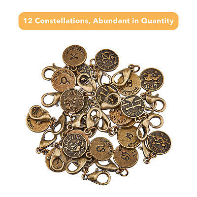 4 Sets 12 Constellations Flat Round Alloy Pendants Decoration HJEW-FH0001-37-1