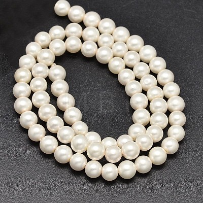 Round Shell Pearl Matte Surface Bead Strands X-BSHE-M011-08-6mm-1