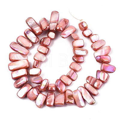 Natural Freshwater Shell Beads Strands X-SHEL-N026-123C-1