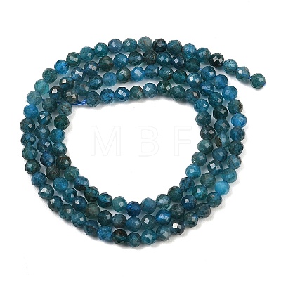 Natural Apatite Beads Strands X-G-E411-36-3mm-02-1