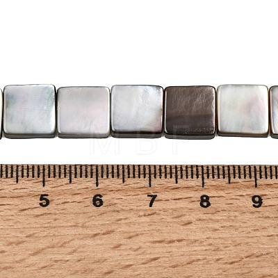 Natural Black Lip Shell Beads Strands SHEL-A006-09A-1