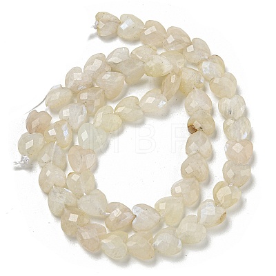 Natural Rainbow Moonstone Beads Strands G-P544-E06-01-1