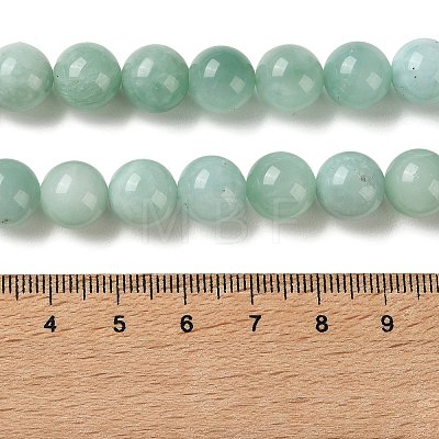 Natural Glass Beads Strands G-A313-A01-10mm-1