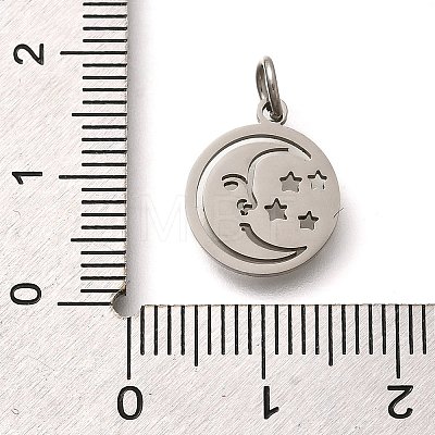 304 Stainless Steel Charms STAS-Z119-20P-1