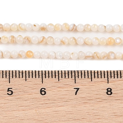 Natural Freshwater Shell Beads Strands SHEL-T011-02-4mm-1