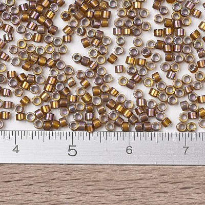 MIYUKI Delica Beads SEED-JP0008-DB1691-1