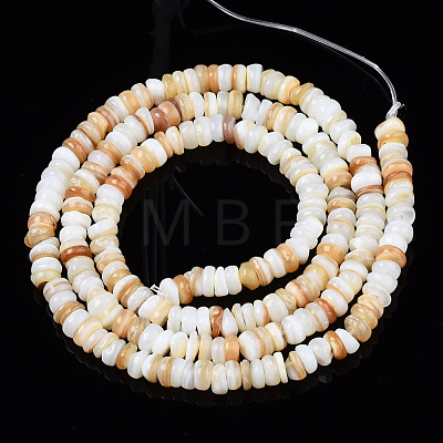 Natural Freshwater Shell Beads Strands SHEL-S278-067-1