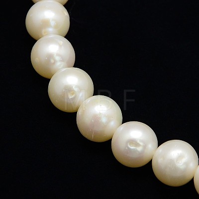 Natural Cultured Freshwater Pearl Beads Strands PEAR-L001-I-13-1