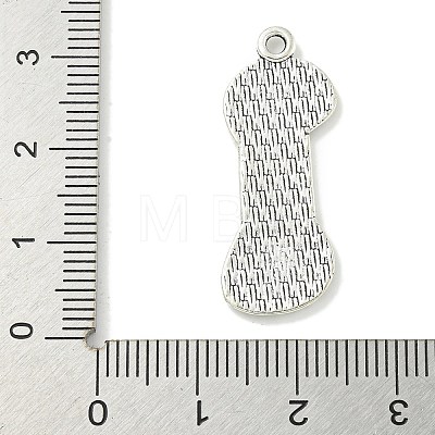 Tibetan Style Alloy Pendants TIBE-I026-5998AS-1