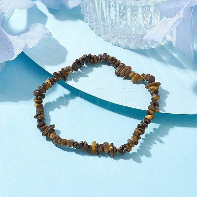 Natural Tiger Eye Chips Beaded Stretch Bracelets for Women BJEW-JB10046-05-1