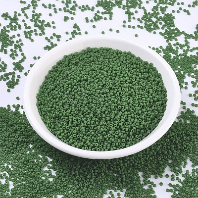 MIYUKI Round Rocailles Beads X-SEED-G007-RR0411F-1