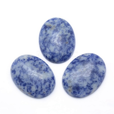 Natural Blue Spot Jasper Cabochons G-P393-I09-1