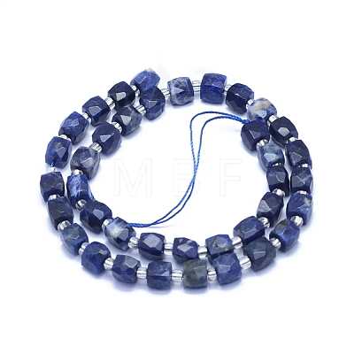 Natural Sodalite Beads Strands G-L552D-04A-1