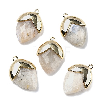 Natural Moonstone Pendants G-U019-03B-02-1