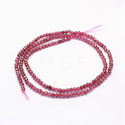 Natural Garnet Beads Strands G-F460-59-1