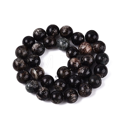 Natural Biotite Beads Strands G-Q616-01E-1