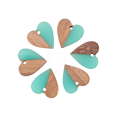Resin & Wood Pendants LS-RESI-CJC0001-19C-1