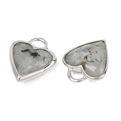 Natural Labradorite Faceted Pendants G-Z154-01P-07-1
