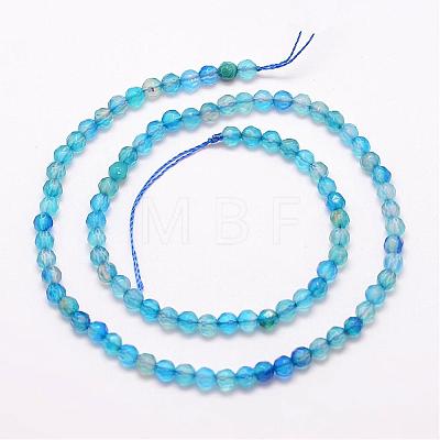 Natural Agate Bead Strands G-G882-4mm-A02-4-1