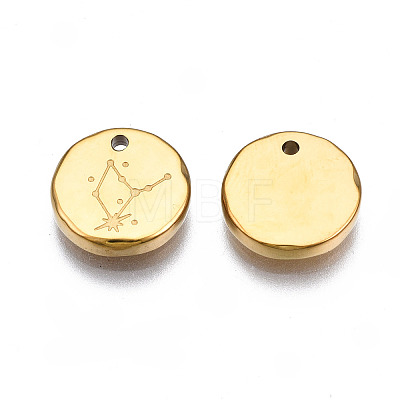 316 Surgical Stainless Steel Charms STAS-S116-418D-G-1