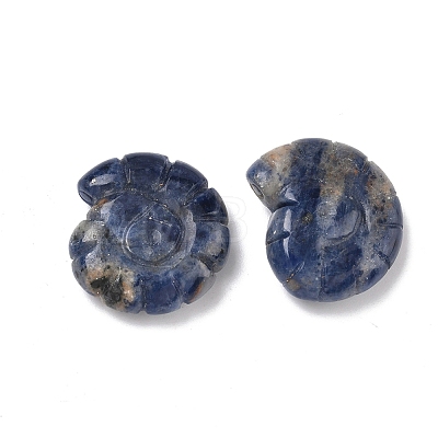 Natural Sodalite Conch Display Decorations DJEW-D303-01L-1