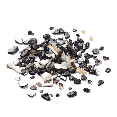 Natural Black Lip Shell Beads SSHEL-K026-02A-1