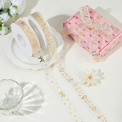 Polyester Ribbons OCOR-WH0120-45B-1