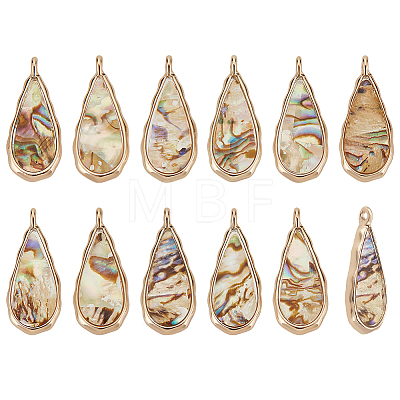 BENECREAT 12Pcs Alloy Resin Pendants with Natural Paua Shell FIND-BC0005-53-1