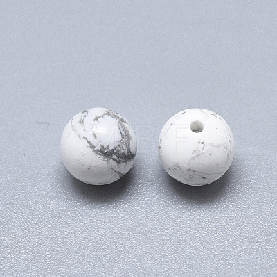 Natural Howlite Beads G-T122-25A-06-1