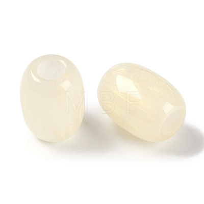 Resin European Beads RESI-F055-11G-1