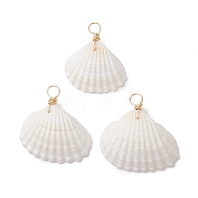 Natural Ark Shell Pendants PALLOY-JF02679-01-1