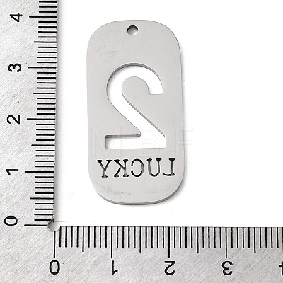 304 Stainless Steel Pendants STAS-D200-02C-P-1