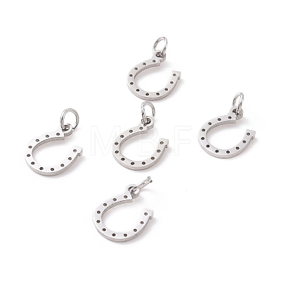 304 Stainless Steel Charms STAS-S105-T519S-1