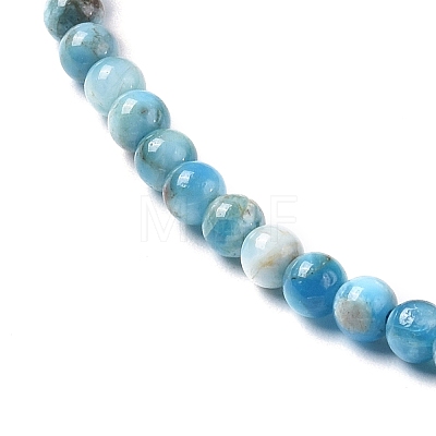 Natural Apatite Beads Strands G-I254-08E-1