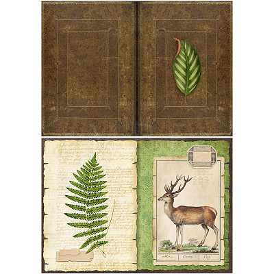 8pcs Forest Theme Scrapbook Paper PW-WG30448-01-1