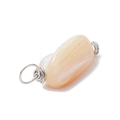 Natural Seashell Nuggets Charms PALLOY-JF02841-1