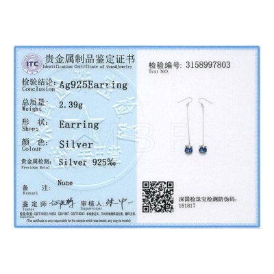 925 Sterling Silver Dangle Earrings EJEW-BB30493-1