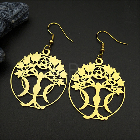 304 Stainless Steel Dangle Earrings FS-WGEFFE7-04-1