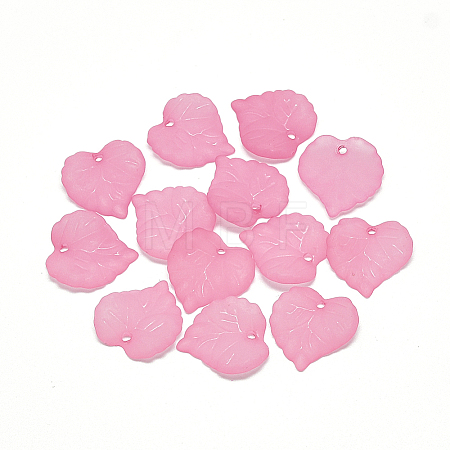 Transparent Acrylic Pendants PL591-2-1