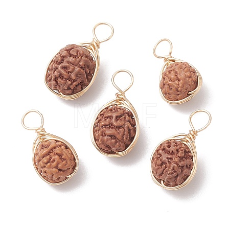 Natural Rudraksha Copper Wire Wrapped Pendants PALLOY-JF02066-02-1