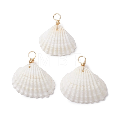 Natural Ark Shell Pendants PALLOY-JF02679-01-1