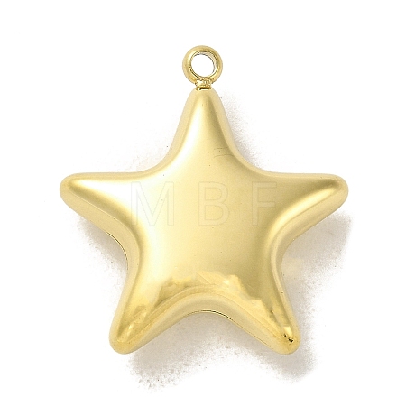 304 Stainless Steel Pendants STAS-L022-115G-1