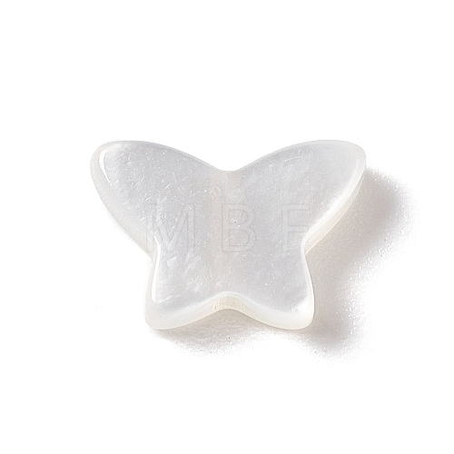 Natural White Shell Beads BSHE-G031-05-1
