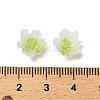 Luminous Resin Decoden Cabochons RESI-K036-06F-02-4