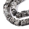 Natural Sesame Jasper/Kiwi Jasper Beads Strands G-T139-8x8-42B-3